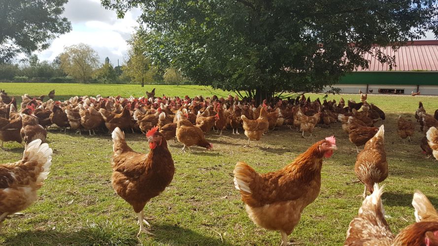 Ferme bien-être