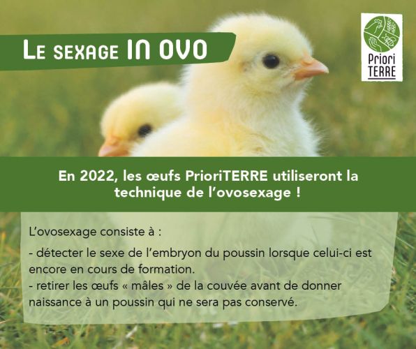 L'ovosexage